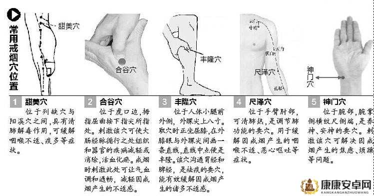 日本人美穴：揭秘日化中的神秘穴道